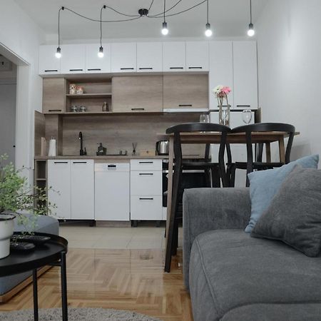 Apartment Dobraya Grey Novi Sad Ngoại thất bức ảnh