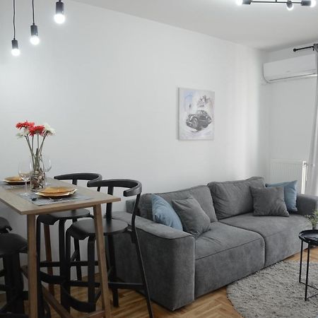 Apartment Dobraya Grey Novi Sad Ngoại thất bức ảnh
