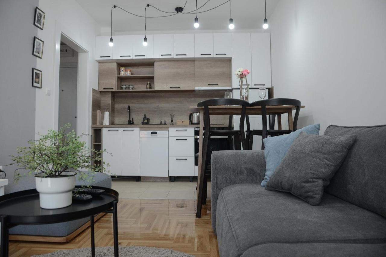 Apartment Dobraya Grey Novi Sad Ngoại thất bức ảnh